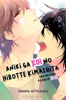 Aniki Ga Koi Wo Hirotte Kimashita Manga