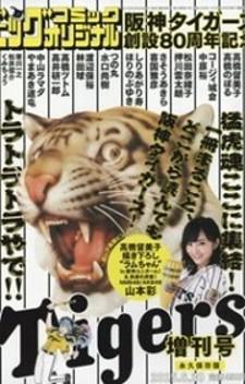Hanshin Tigers Sousetsu 80 Shuunen Kinen Zoukan Manga